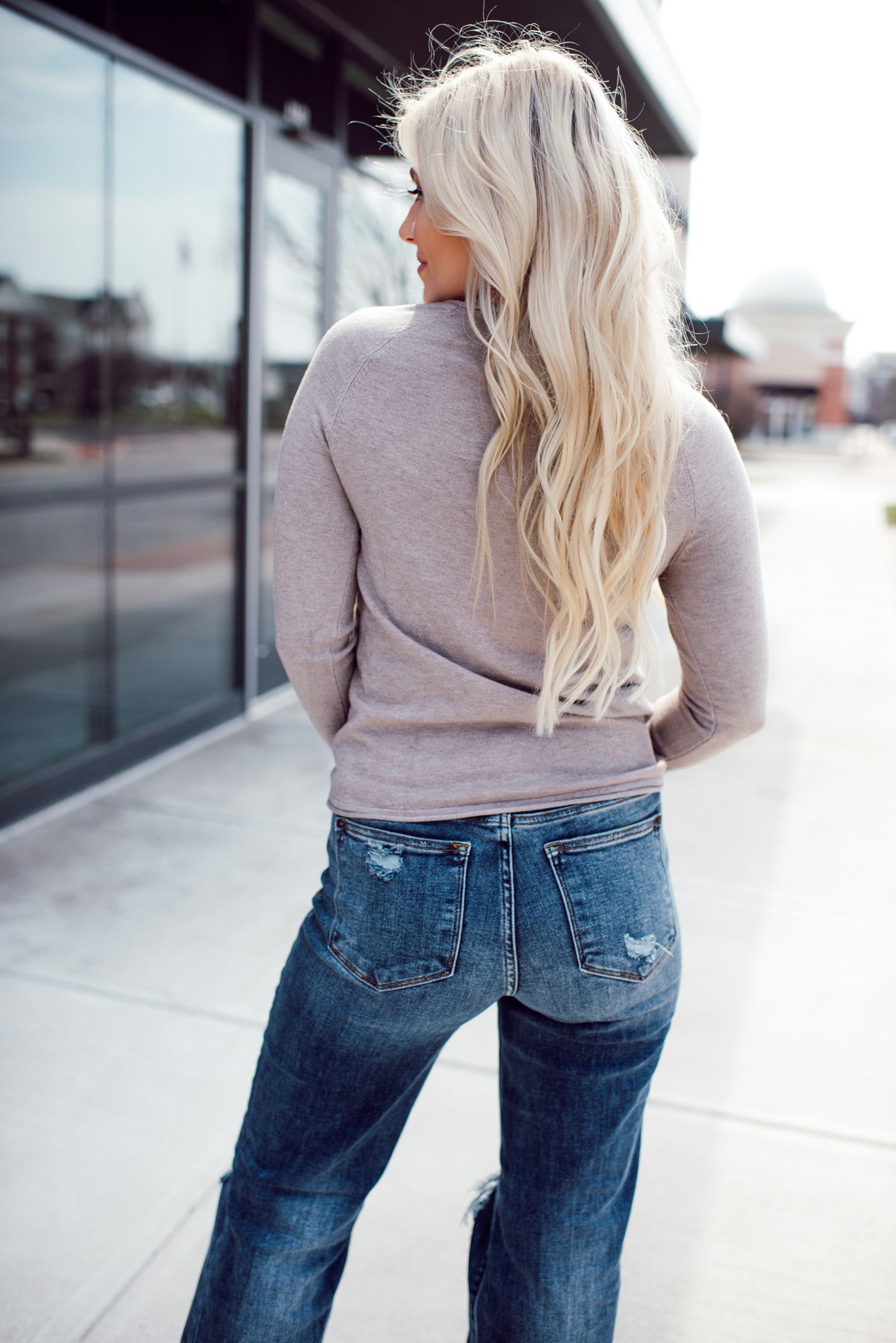Soft As Cashmere Round Neck Sweater (Oatmeal)