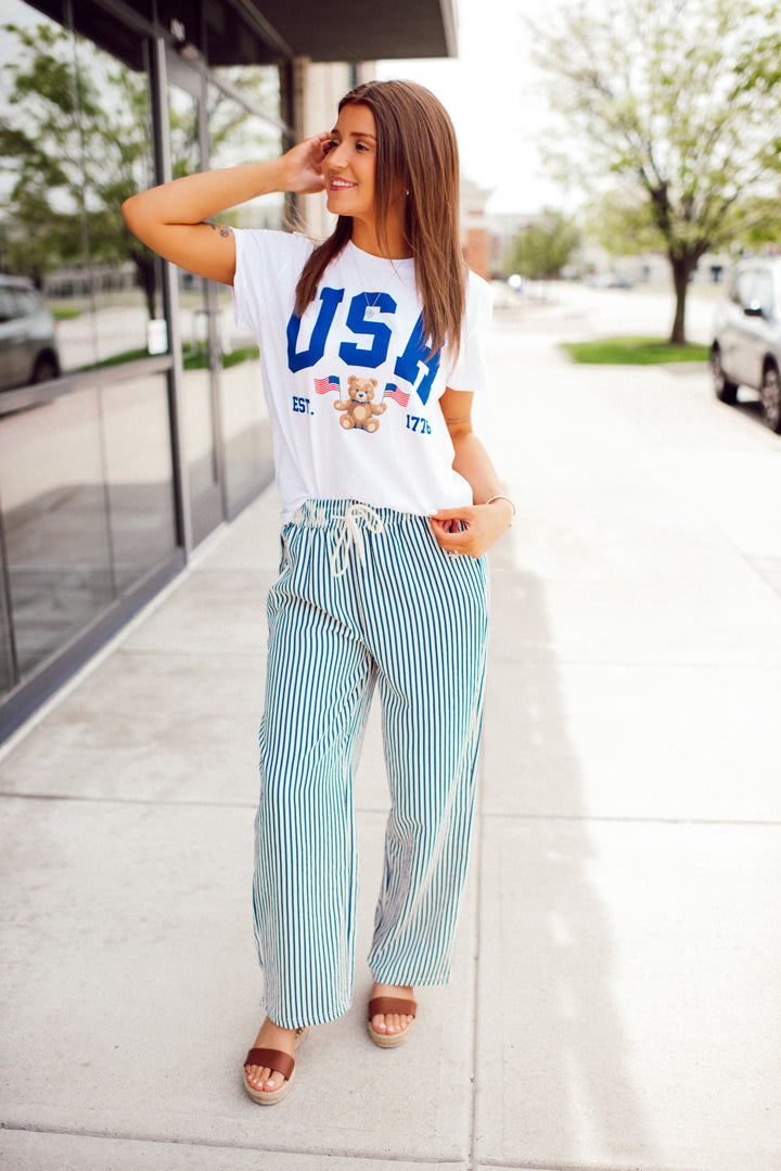 USA Teddy Tee