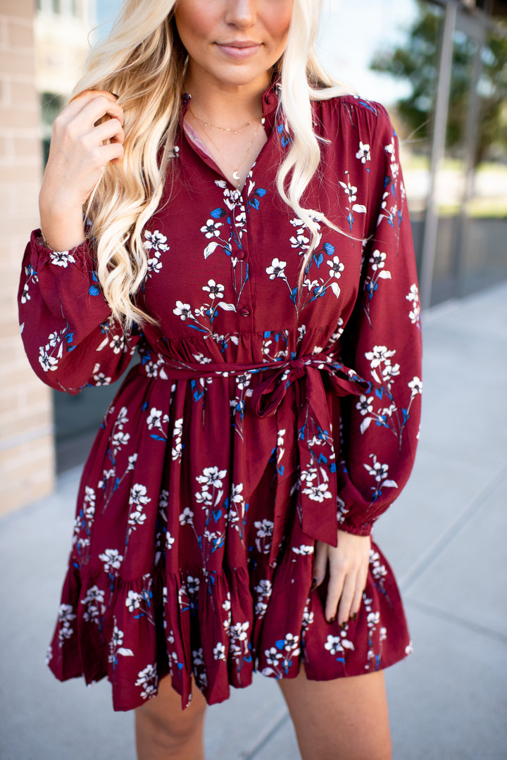 Crimson Crush Mini Dress (Burgundy)