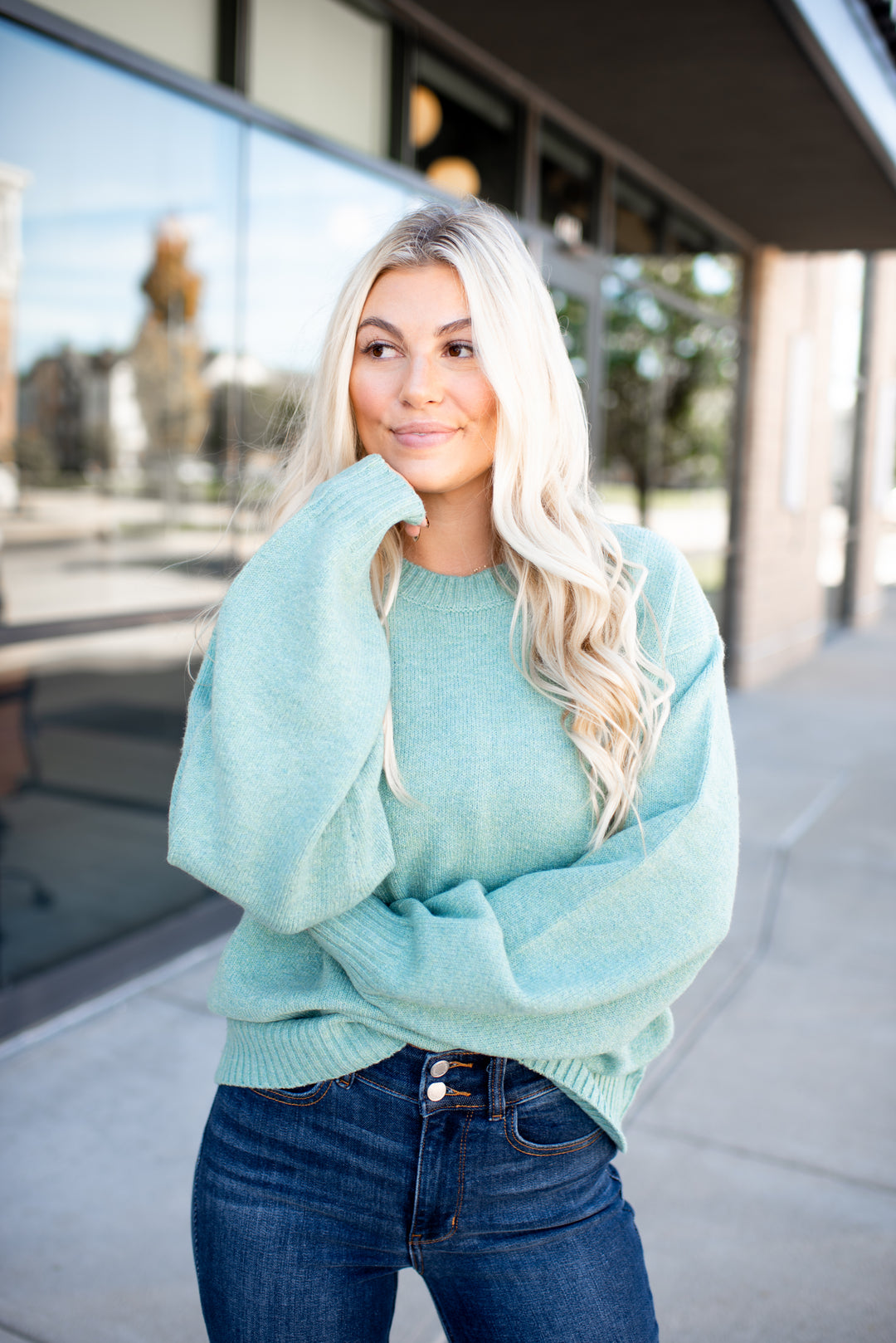 The Taylor Crewneck Sweater (Sage)