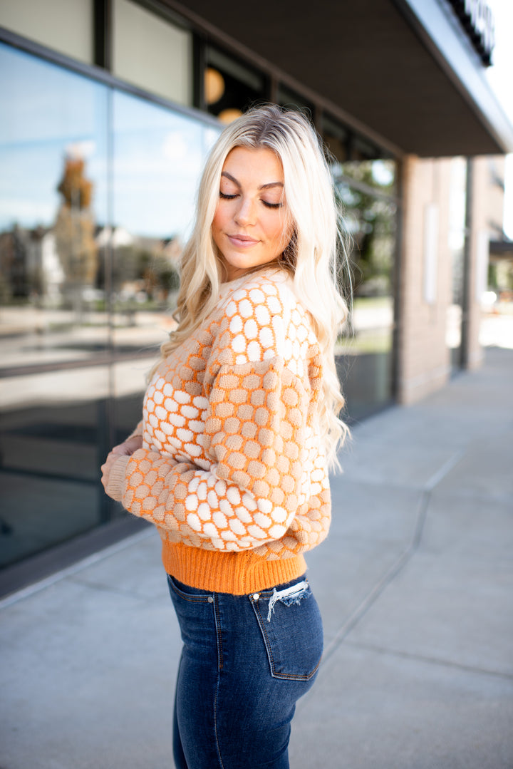 Hazel Honeycomb Sweater (Brown)