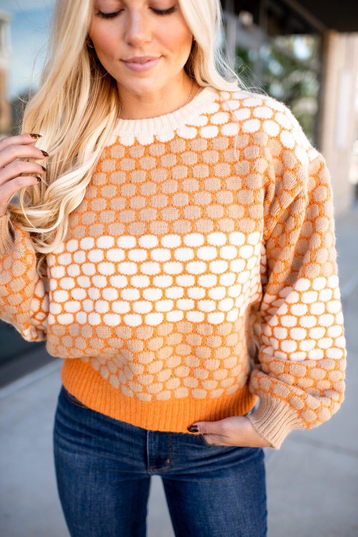 Hazel Honeycomb Sweater (Brown)