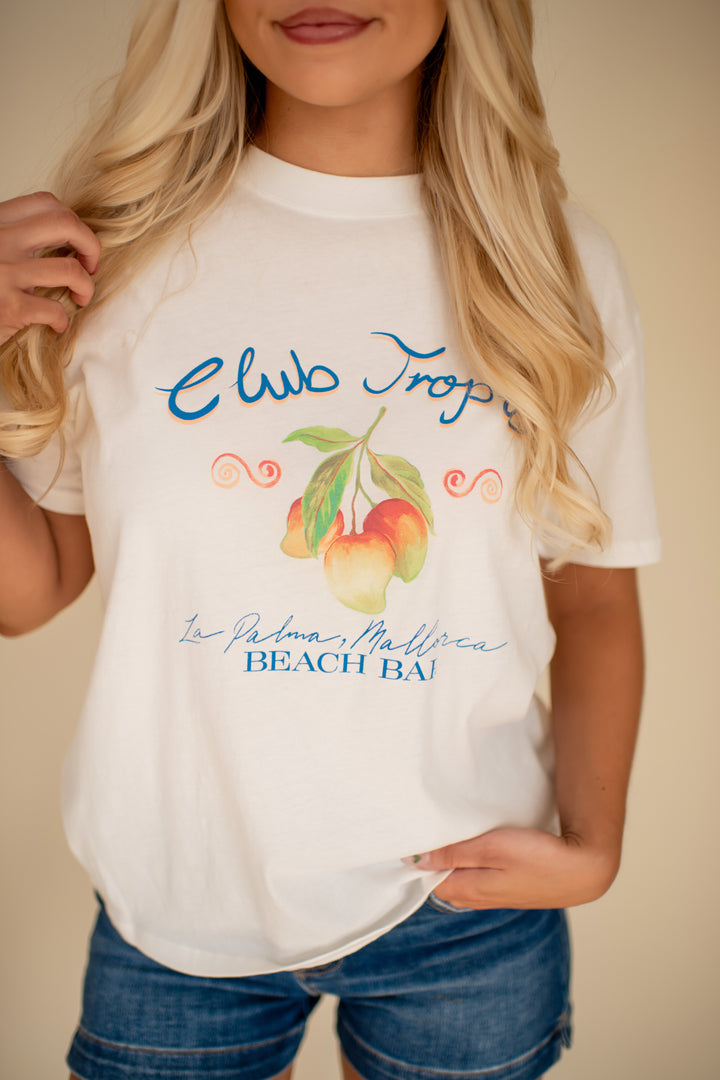 Z Supply Club Tropics Boyfriend Tee