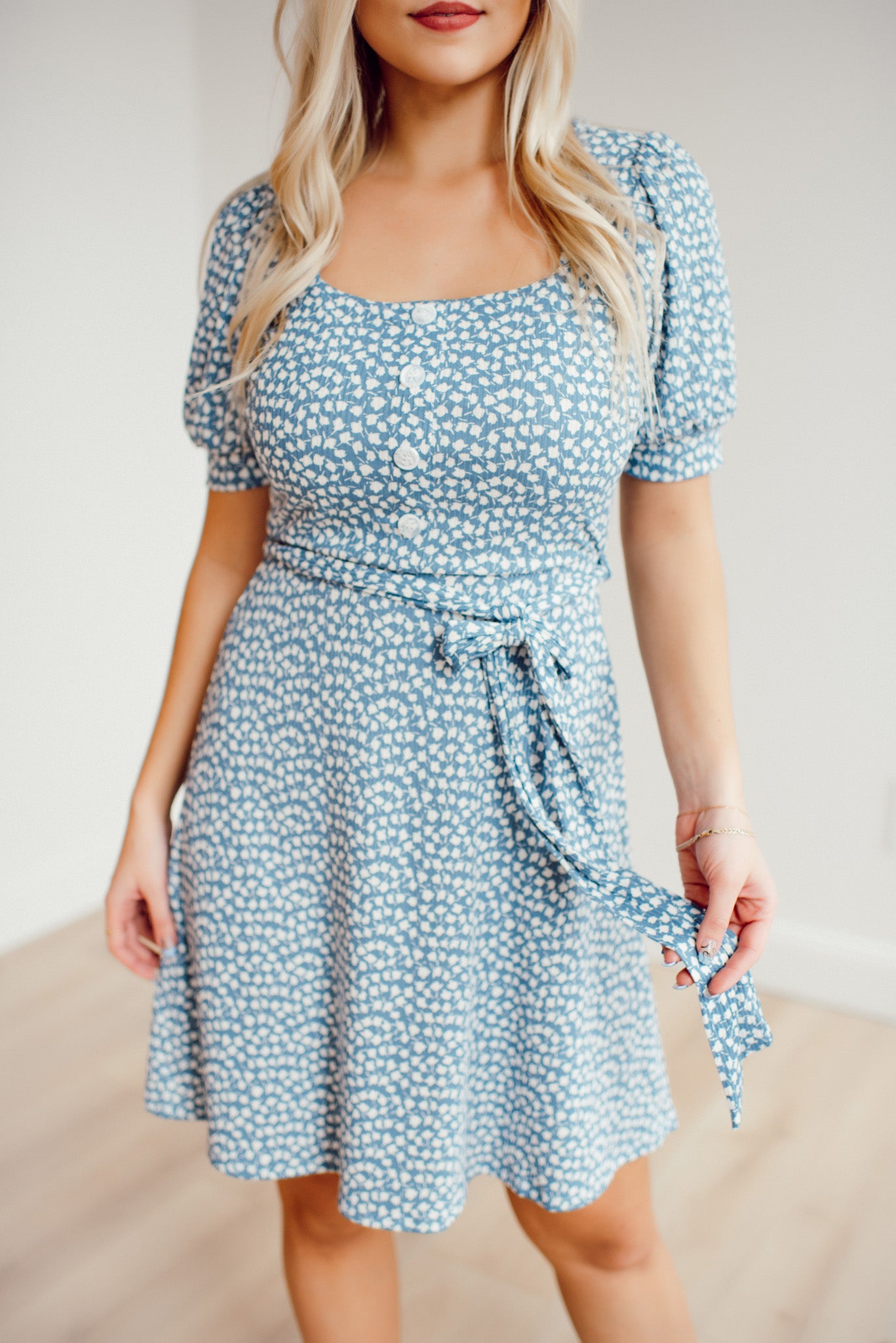 One In A Meadow Dress (Blue/White)